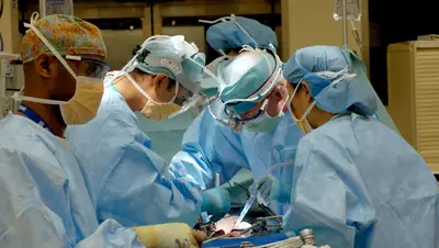 Was ist die Zukunft der Xenotransplantation? Erstmals Schweineleber oder -niere in den Menschen transplantiert